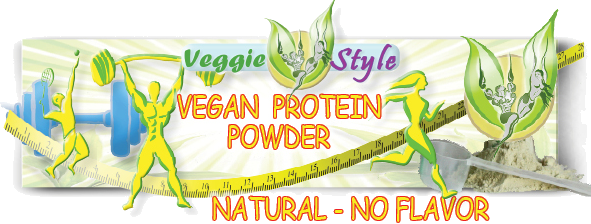 EN-PRODUCT-INFO-VEGAN-PROTEIN-POWDER-NATURAL