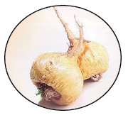 maca.png_product