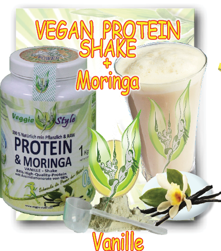 de-veganes-protein-shake-moringa-schoko-banner.png_product