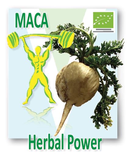 maca3.png