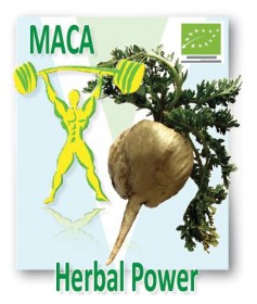 product-veggie-style-vegan-maca-herbal-power