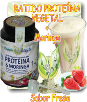 batido-proteina-vegana-vegetariana-fresa9