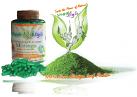 moringa-oleifera-from-veggie-style9
