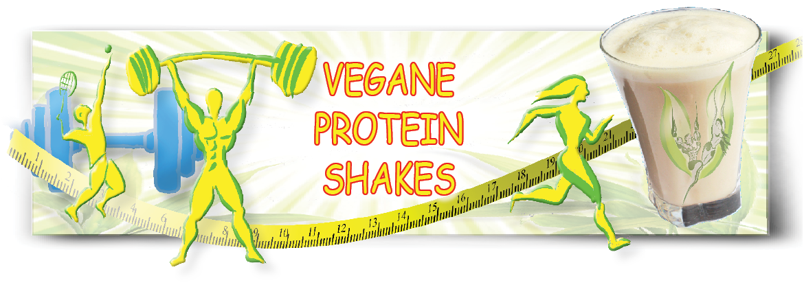 de-vegane-protein-shakes